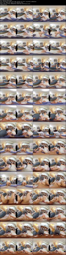 3DSVR-1009-B.jpeg