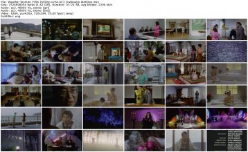 Weather Woman.1996.DVDRip.x264.AC3.DualAudio.WahDee_thumb.jpg