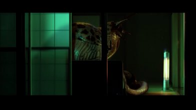 Bir-dso-ng.mkv_snapshot_01.18.31_[2021.11.14_14.28.56].jpg