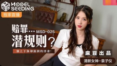 MSD-025.jpg
