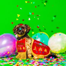 20211215.1425.0 tricot Joudeki (2021) (FLAC) cover.jpg 20211215.1425.0 tricot Joudeki (2021) (FLAC) cover.jpg