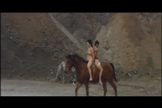 Noble La-dy Bo-und Va-se-1.jpg Noble La-dy Bo-und Va-se-1.jpg