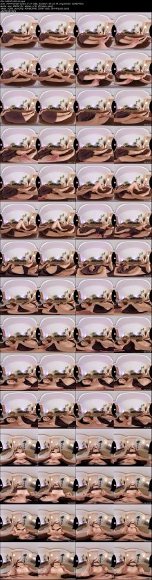 MDVR-205-B.jpeg MDVR-205-B.jpeg