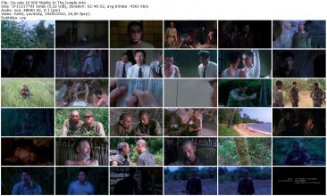 On-oda 10 000 Nights In The Jungle_thumb.jpg On-oda 10 000 Nights In The Jungle_thumb.jpg