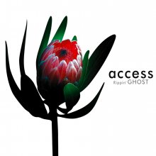 20220604.0150.01 access Rippin' Ghost (2003) (FLAC) cover.jpg 20220604.0150.01 access Rippin' Ghost (2003) (FLAC) cover.jpg