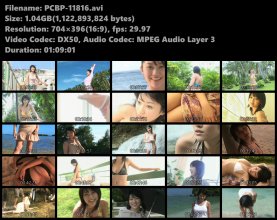 PCBP-11816s.avi.jpg