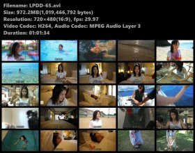 LPDD-65s.avi.jpg