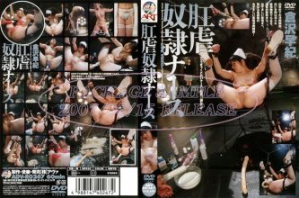 cover.jpg