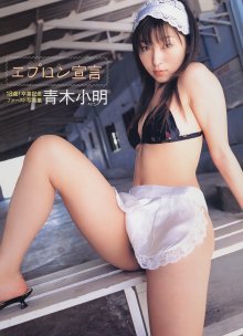 青木小明「エプロン宣言」(20030314).jpg