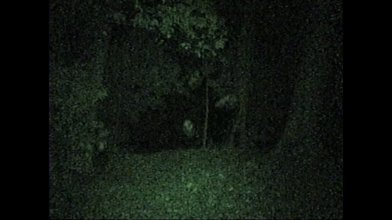 Yami Douga 1_SUB.mkv_snapshot_00.29.27_[2022.08.26_12.05.17].jpg
