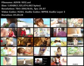 ADVK-1012s.avi.jpg