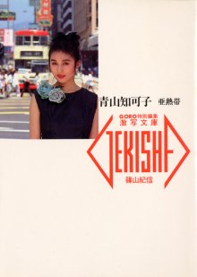 青山知可子 - 亜熱帯(198812).jpg