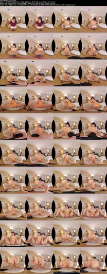 MDVR-229-D_s.jpg MDVR-229-D_s.jpg