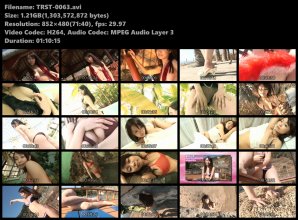 TRST-0063s.avi.jpg