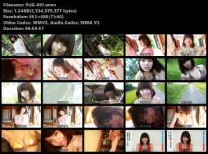 PUG-001.wmv.jpg