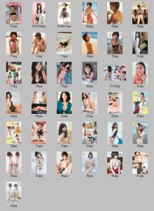 WPB_No.28[2010]s.jpg