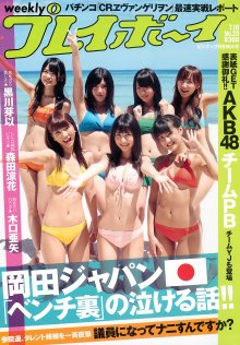 WPB_No.29[2010].jpg