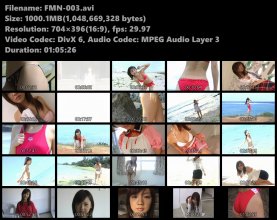 FMN-003s.avi.jpg