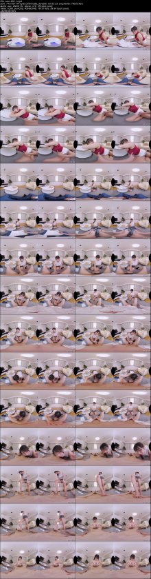 savr-208-1.jpeg savr-208-1.jpeg