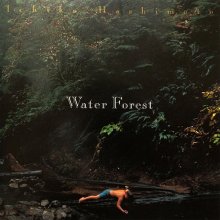 20221125.2348.3 Ichiko Hashimoto Water Forest (1997) (FLAC) cover.jpg