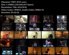 TRST-0133.wmv.jpg