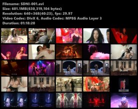 SDNI-001s.avi.jpg