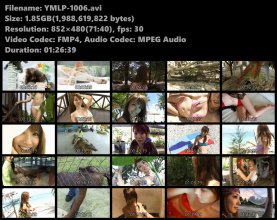 YMLP-1006s.avi.jpg