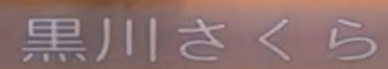 Screen Shot 2023-05-17 at 9.47.53 AM.png