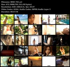 MSD-765s.avi.jpg
