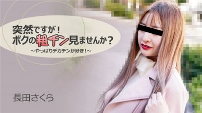heyzo-3088imgcover.jpg