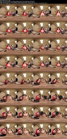 DSVR-1319-1_s.jpg DSVR-1319-1_s.jpg