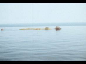 fragment for K.S.mkv_snapshot_00.14_[2023.07.28_16.47.16].jpg