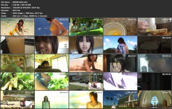 DMSM-9633.mkv.jpg