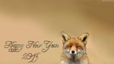 Happy-New-Year-2015-Happy-Fox-Images.jpg