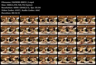 FAKWM-00013_2.mp4.jpg