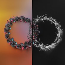 20231013.0935.8 The Rose Dual (2023) (FLAC) cover.jpg 20231013.0935.8 The Rose Dual (2023) (FLAC) cover.jpg