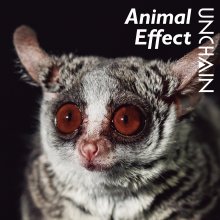 20231031.1535.09 Unchain Animal Effect (2021) (FLAC) cover.jpg 20231031.1535.09 Unchain Animal Effect (2021) (FLAC) cover.jpg