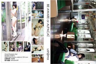 01 Cover - BE AWERE OF ALPACA.jpg