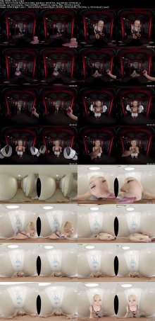 DSVR-1376-1_s.jpg DSVR-1376-1_s.jpg