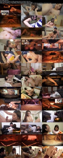 SGSR-338-SD_s.jpg SGSR-338-SD_s.jpg