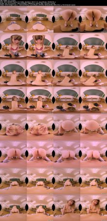 AJVR-211-2_s.jpg AJVR-211-2_s.jpg