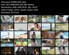 FORM-035.mp4.jpg