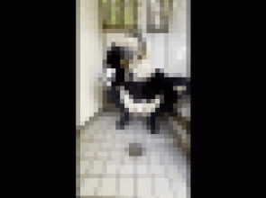 FC2-PPV-4108883.gif