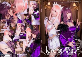 Love or Whip.jpg