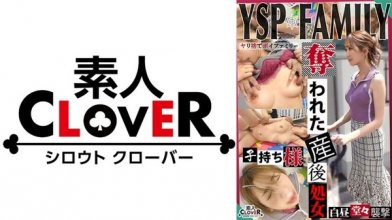 529stcv-384imgcover.jpg 529stcv-384imgcover.jpg