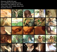 SFLBK-012.mp4.jpg