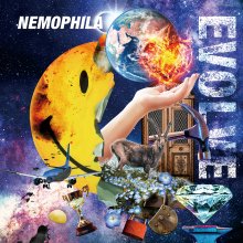 20240123.0109.07 Nemophila Evolve (2024) (FLAC) cover.jpg 20240123.0109.07 Nemophila Evolve (2024) (FLAC) cover.jpg
