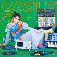 20240127.0033.08 Shiina Natsukawa Cable Salad (2023) (FLAC) cover.jpg 20240127.0033.08 Shiina Natsukawa Cable Salad (2023) (FLAC) cover.jpg