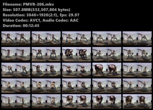 PMVR-206.mkv.jpg