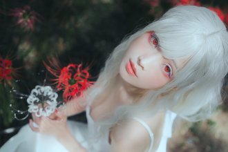 wt (9).jpg